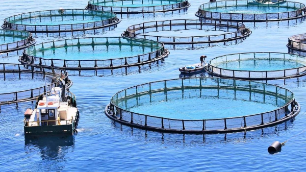 B.Tech Fisheries and Aquaculture Technology