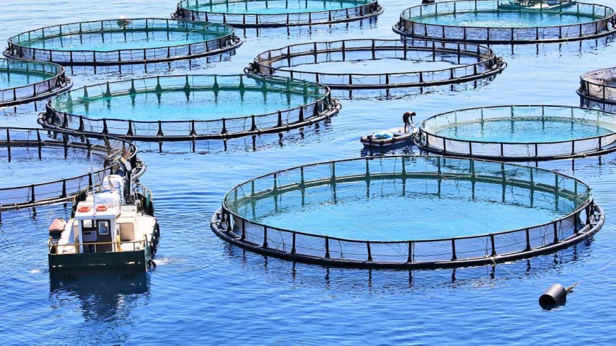 B.Tech Fisheries and Aquaculture Technology