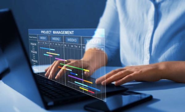 B.Sc. Project Management