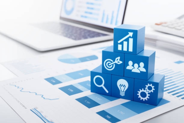 B.Sc. Business Management